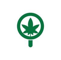 plantilla de vector de diseño de logotipo de búsqueda de cannabis. combinación de logo de hoja de marihuana y lupa. cáñamo y símbolo o icono de lupa.