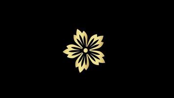 Animations-Goldblumen-Isolat im chinesischen Stil mit schwarzem Hintergrund. video