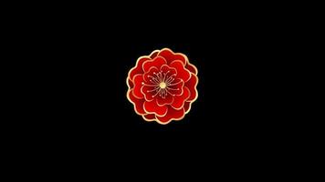 Animation rote Blume im chinesischen Stil isolieren mit schwarzem Hintergrund. video