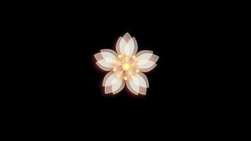 Animation white flower chinese style isolate with black background. video