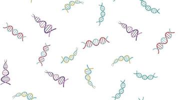 Seamless pattern texture of endless repetitive medical scientific abstract structures of dna gene molecules models on white background. Vector illustration