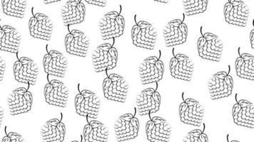 Blackberry blanco y negro sobre un fondo blanco, ilustración vectorial, patrón. baya con una hoja grande con una rama. apetitosa ilustración de comida, papel tapiz para cafetería y restaurante