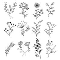 set of botanical floral elements, plants and flowers.branches on a white background vector