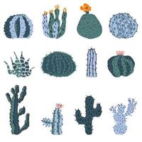 Cactus set. Vector desert plants on white background.