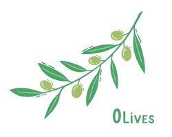 Olives branch with leaves. Illustration for printing, backgrounds, covers and packaging. Image can be used for greeting cards, posters, stickers and textile. Isolated on white background. vector