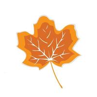 Autumn leaves isolated on white background vector