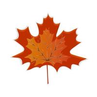 Autumn leaves isolated on white background vector