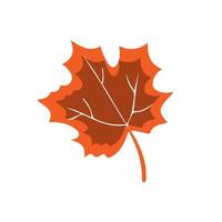 Autumn leaves isolated on white background vector