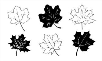 Autumn leaves icons outline. Autumn leaves isolated on white background. vector