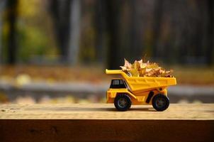 The concept of seasonal harvesting of autumn fallen leaves is depicted in the form of a toy yellow truck loaded with leaves against the background of the autumn park photo