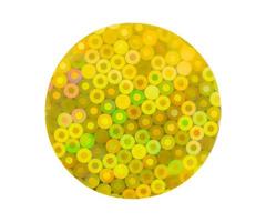 Blank round adhesive holographic foil sticker label isolated on white background photo