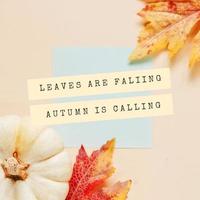 cita de motivación inspiradora sobre el otoño con hojas de calabaza y arce en el fondo, vacaciones y concepto de temporada foto