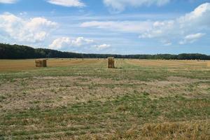 Straw bales on a harvested wheat field. Food supply. Agriculture to feed humanity photo