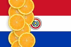 Paraguay flag and citrus fruit slices vertical row photo