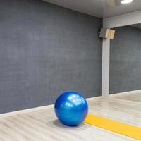 A blue exercise ball in the sports complex photo