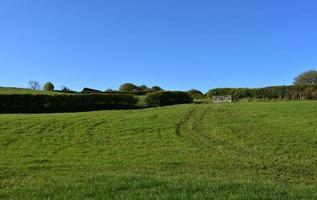 Large Pasture on a Farm in Ennerdale photo