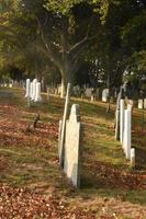 Historic Old Grave Stones in a Cemetery photo