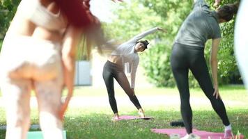 kvinna undervisning yoga i utomhus- klass video
