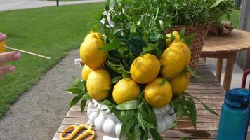 Sicilian Lemon Themed Wedding Event Decoration video