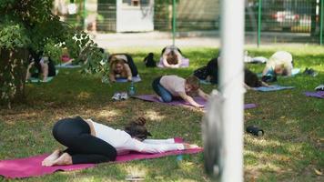 grupo de pessoas fazem ioga juntos em um parque video