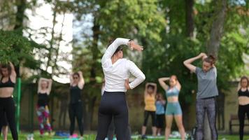 Group of people do yoga together in a park video