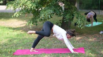 donna insegnamento yoga nel all'aperto classe video