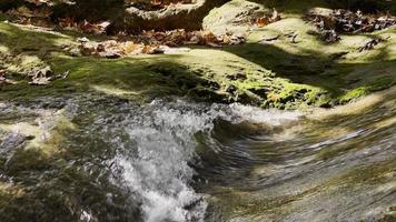 waterval visie in wild natuur video