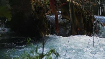 Blick auf den Wasserfall in wilder Natur video