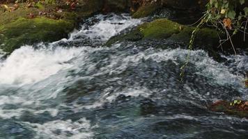 vue sur la cascade dans la nature sauvage video