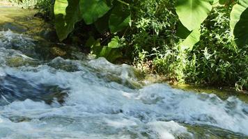 vue sur la cascade dans la nature sauvage video