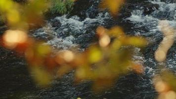 waterval visie in wild natuur video