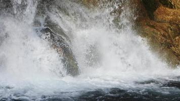 vista de la cascada en la naturaleza salvaje video