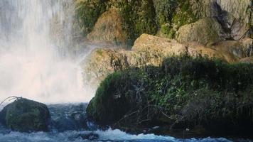 vue sur la cascade dans la nature sauvage video