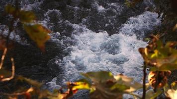 Waterfall View in Wild Nature video