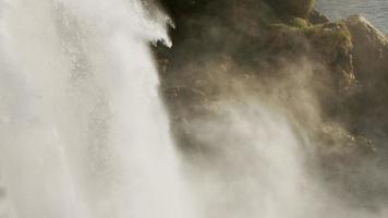 cascata Visualizza nel selvaggio natura video