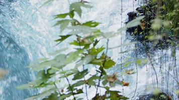 Blick auf den Wasserfall in wilder Natur video