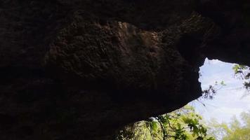 vista da cachoeira selvagem dentro da caverna video
