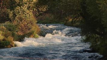 vue sur la cascade dans la nature sauvage video