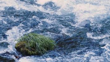 waterval visie in wild natuur video