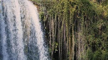 Blick auf den Wasserfall in wilder Natur video