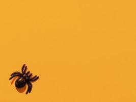 Halloween decoration. Black spider on an orange background. Copy space photo