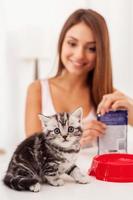 I am so hungry Cute Scottish fold kitten looking at camera while young woman opening a pack with cat food in the background photo