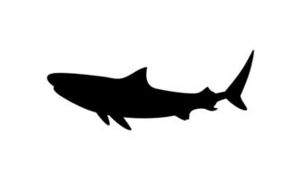 Shark Silhouette for Logo, Pictogram, Website, Art Illustration, Infographic, or Graphic Design Element. Vector Illustration