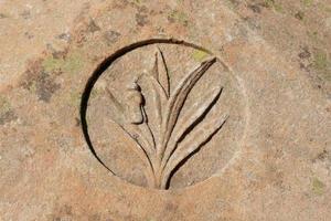 Bela-Bela, Gauteng, South Africa 2022 - Floral Carving on an Old Sandstone Grave photo