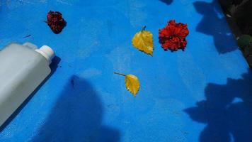 Red flowers and yellow leaves on a blue background with a white bottle photo