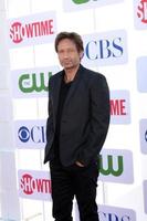 LOS ANGELES, JUL 29 - David Duchovny arrives at the CBS, CW, and Showtime 2012 Summer TCA party at Beverly Hilton Hotel Adjacent Parking Lot on July 29, 2012 in Beverly Hills, CA photo