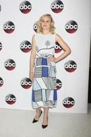 vLOS ANGELES, JAN 9 - Alison Pill at the Disney ABC TV 2016 TCA Party at the The Langham Huntington Hotel on January 9, 2016 in Pasadena, CA photo