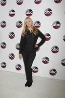 vLOS ANGELES, JAN 9 - Hope Davis at the Disney ABC TV 2016 TCA Party at the The Langham Huntington Hotel on January 9, 2016 in Pasadena, CA photo