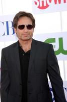 LOS ANGELES, JUL 29 - David Duchovny arrives at the CBS, CW, and Showtime 2012 Summer TCA party at Beverly Hilton Hotel Adjacent Parking Lot on July 29, 2012 in Beverly Hills, CA photo