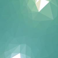 Polygon background design vector